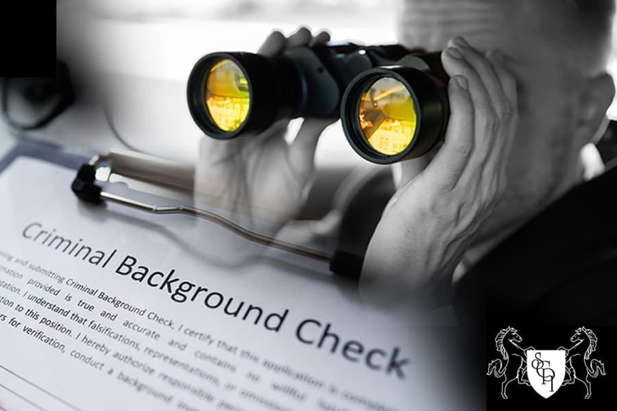 Background Check Private Investigator